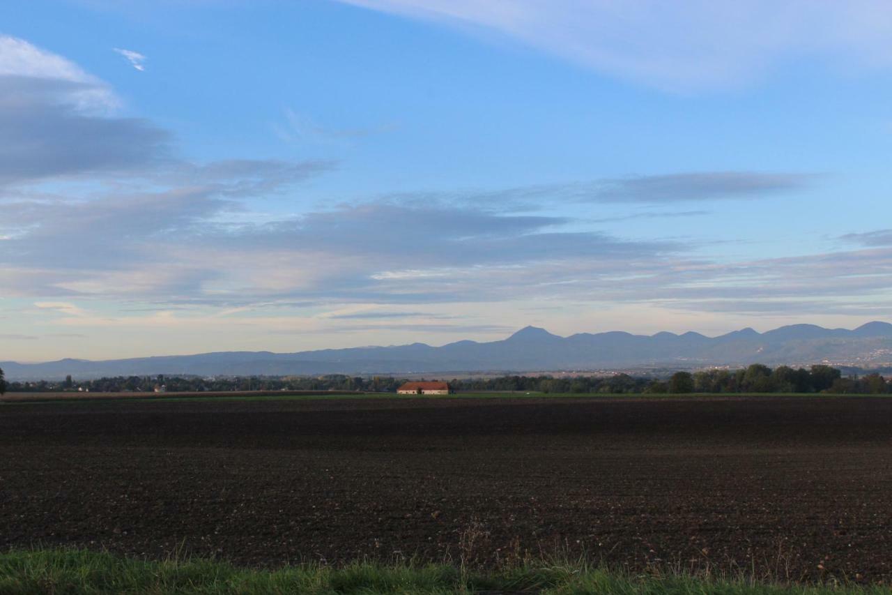 "Les Monnats" Gite 8 Personnes A La Campagne Villa Chaptuzat Exterior foto