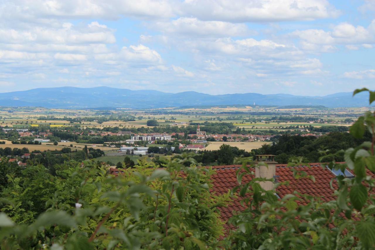 "Les Monnats" Gite 8 Personnes A La Campagne Villa Chaptuzat Exterior foto